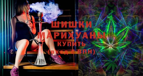 прущие грибы Абаза