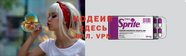 прущие грибы Абаза