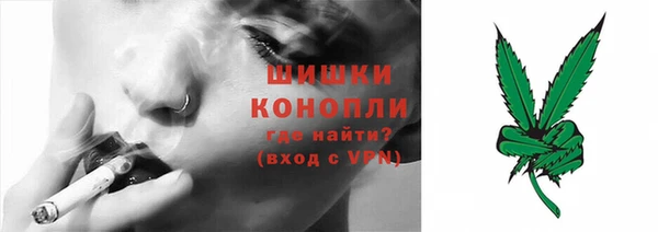 прущие грибы Абаза