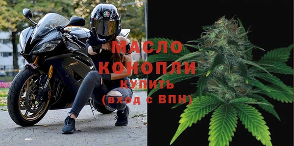 прущие грибы Абаза
