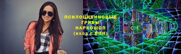 прущие грибы Абаза