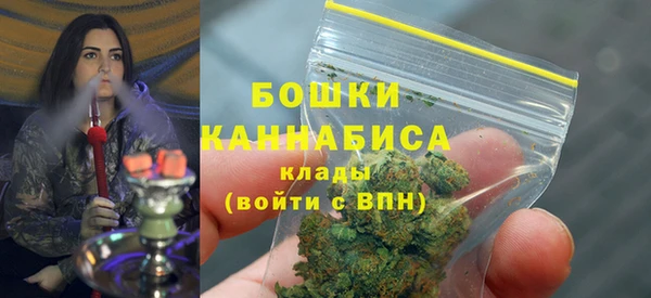 прущие грибы Абаза