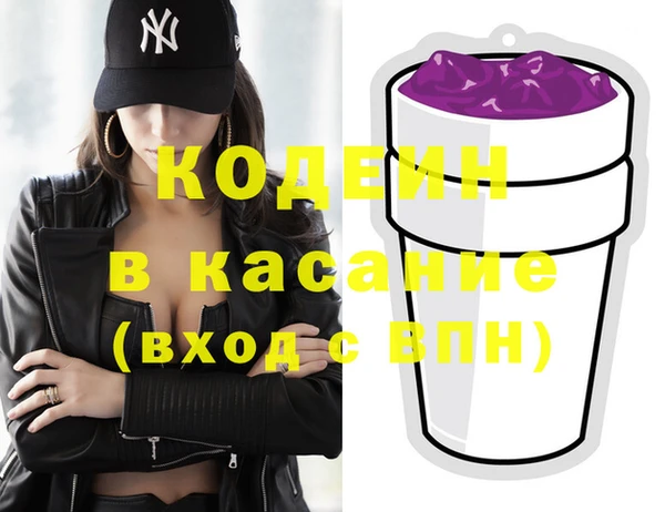 прущие грибы Абаза